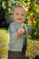 Junge trägt graue Baby Haremshose mit Taschen & Cars Autos gemustert - Mint grüne blaue Kinder Sweatjacke mit Streifen & Taschen FUN Print von Pinokio - Babyphoto Kinderphoto