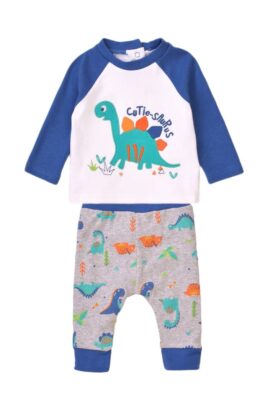 Kinder Baby Schlafanzug Pyjama mit Dinosaurier Tiermotiv, Rundhalsausschnitt aus Baumwolle für Jungen – Schlafhose & Langarmshirt in Blau Grau von Minoti – Vorderansicht