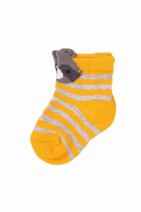 Kinder Baby Socken in Senfgelb mit grauen Streifen + Waschbär Applikation am Bündchen - Unisex Söckchen mit schmalen Rippbündchen für Jungen + Mädchen von MINOTI - Vorderansicht
