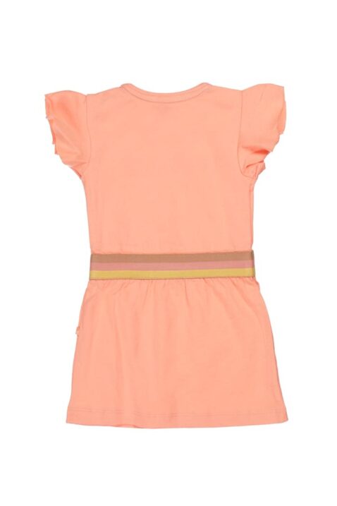 Mädchen rosa orange Baby Kleid kurzarm mit Schmetterlingsärmel, Rüschen & Rundhalsauschnitt für den Sommer - Kinderkleid mit SUNSHINE ON MY MIND Print von DIRKJE - Rückansicht