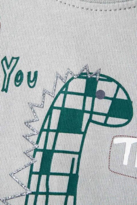 Graues Baby & Kinder Shirt langarm mit Tiermotiv & Print für Mädchen & Jungen unifarben von NEWNESS - Motivansicht Dinosaurier Langarmshirt Baumwollshirt