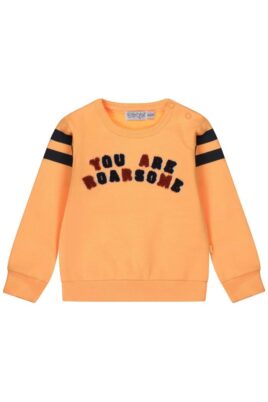 Baby & Kinder Oberteil Sweatshirt mit You Are Roarsome Print & Ärmelstreifen in NEON Orange von DIRKJE - Vorderansicht crew neck Rundhals Pullover für Jungen & Mädchen