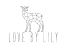 Love by Lily Logo - Marke